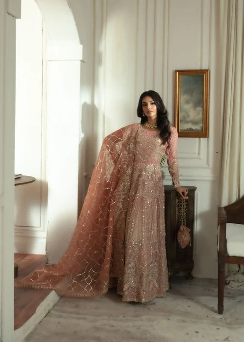Chiffon Maxi in Blush Pink by Haseens Official