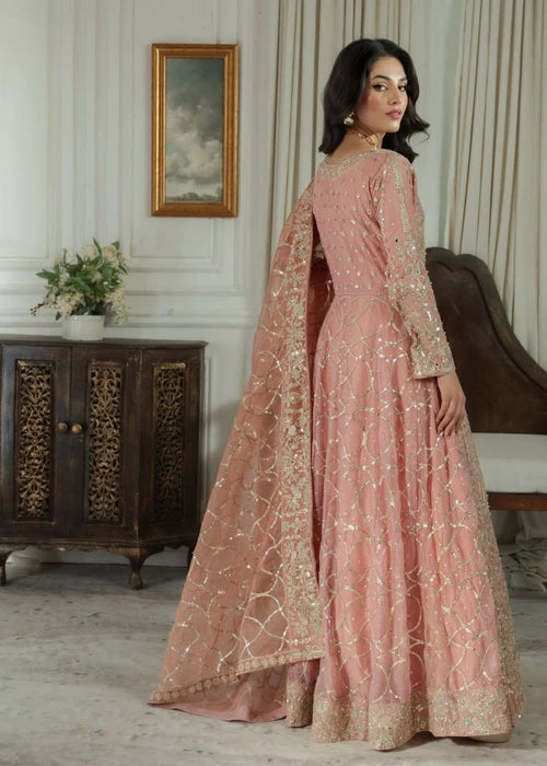 Chiffon Maxi in Blush Pink by Haseens Official