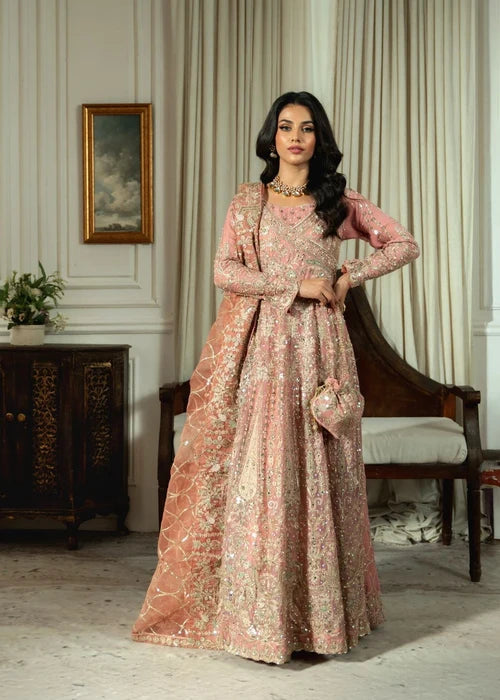 Chiffon Maxi in Blush Pink by Haseens Official