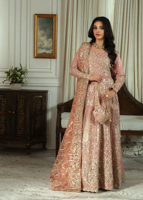 Chiffon Maxi in Blush Pink by Haseens Official